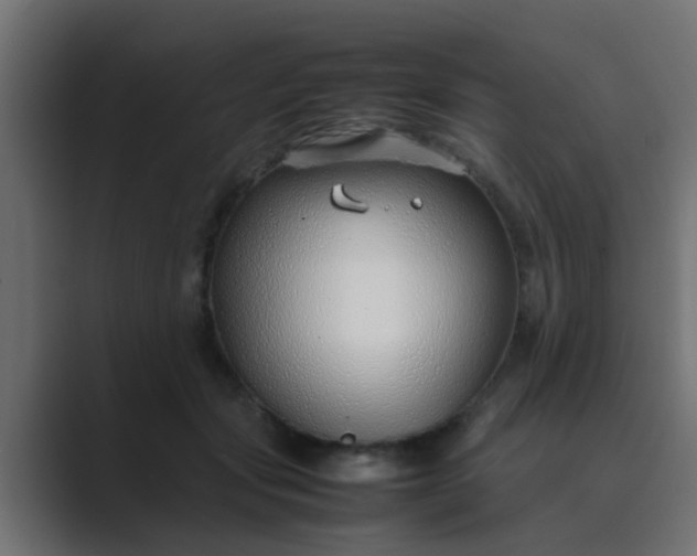 X0000089460557200706291503