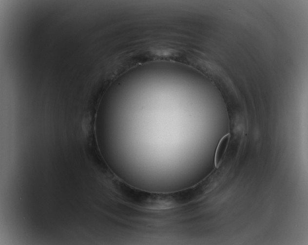 X0000089460559200706291503