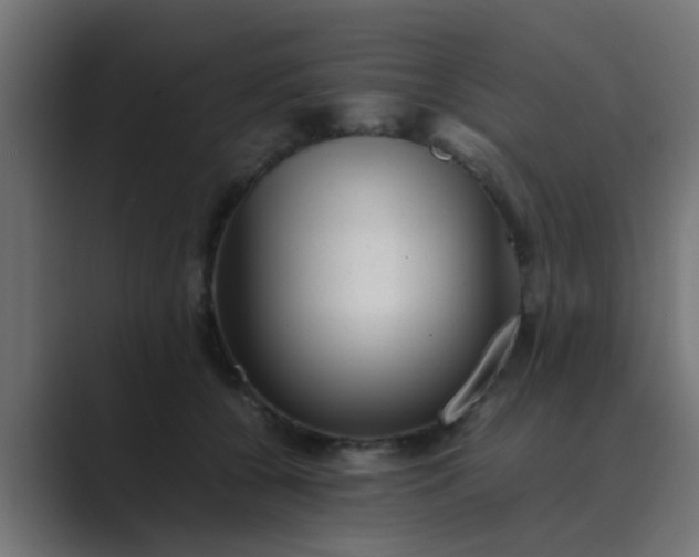X0000089460560200706291503