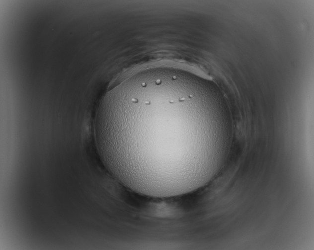 X0000089460561200706291503