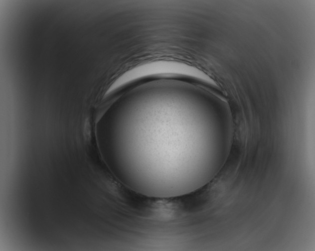 X0000089460562200706291503
