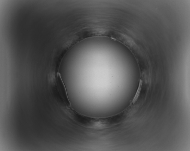 X0000089460564200706291503