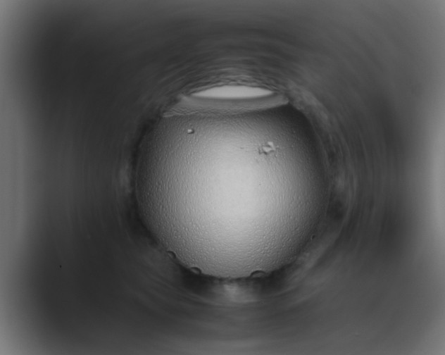 X0000089460565200706291503