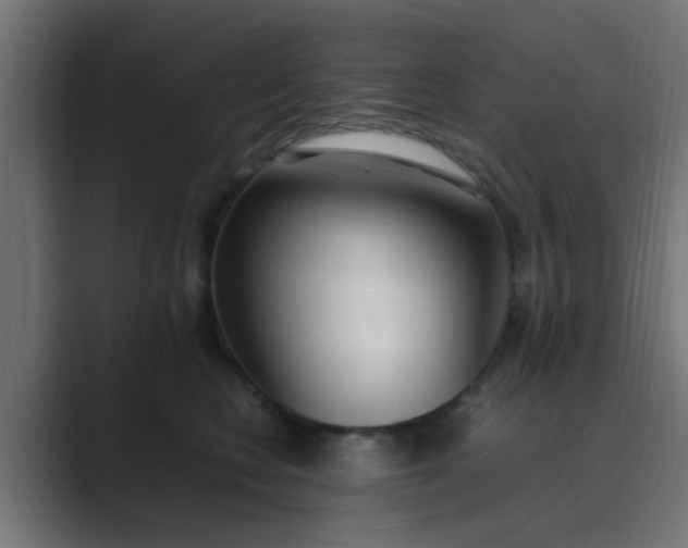 X0000089460566200706291503