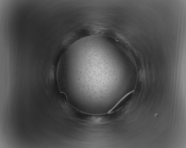 X0000089460570200706291503