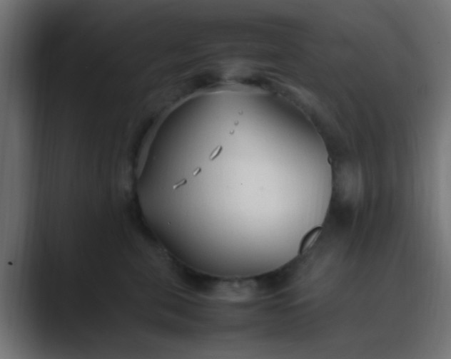 X0000089460571200706291503