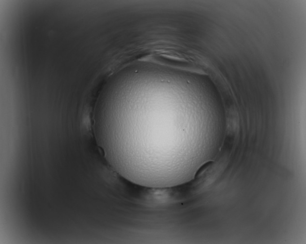 X0000089460573200706291503