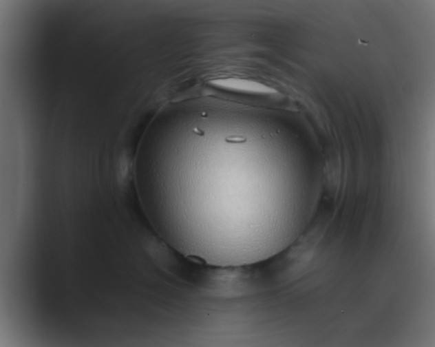 X0000089460574200706291503