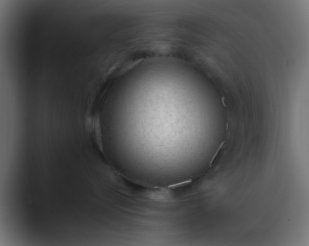 X0000089460576200706291503