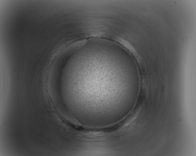 X0000089460577200706291503