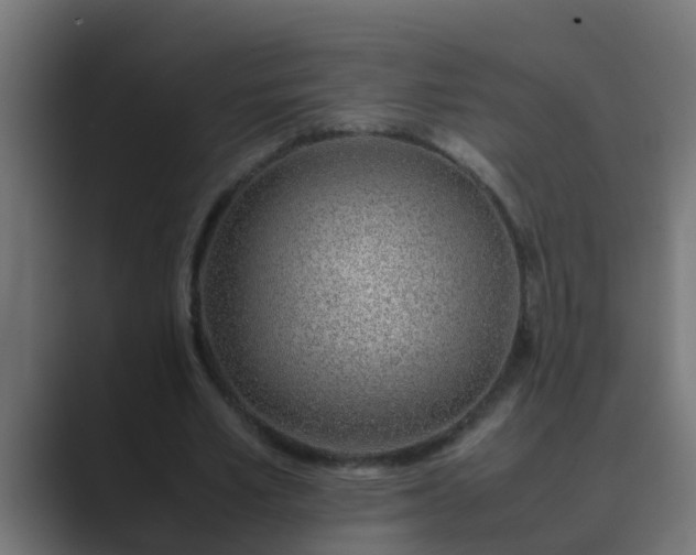 X0000089460581200706291503
