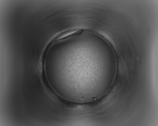 X0000089460584200706291503