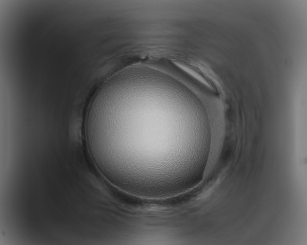 X0000089460585200706291503