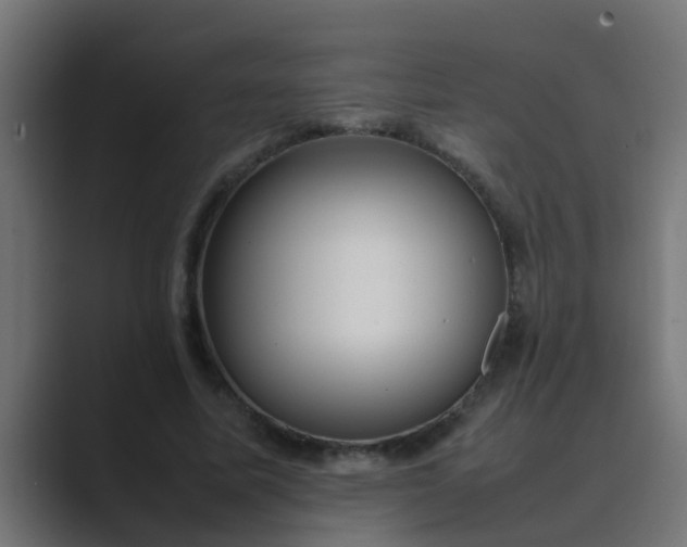 X0000089460587200706291503