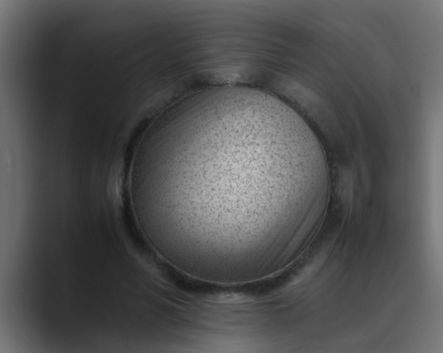X0000089460590200706291503