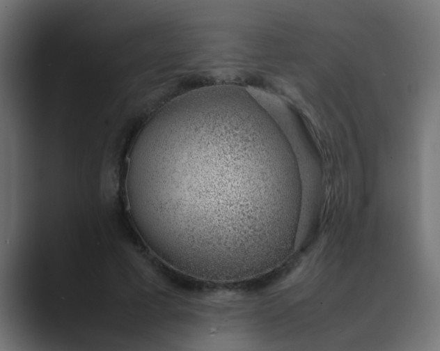 X0000089460593200706291503