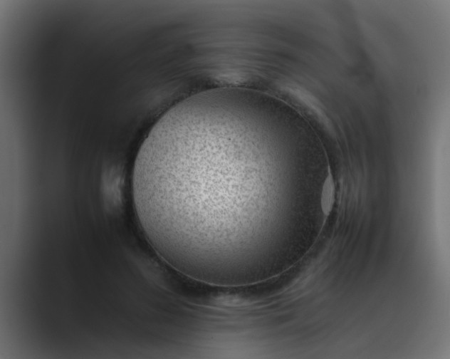 X0000089460596200706291502
