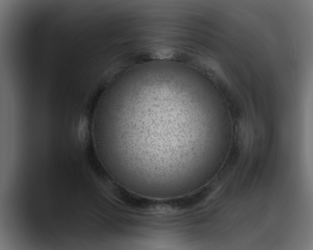 X0000089460598200706291502