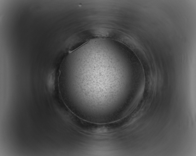 X0000089460600200706291502