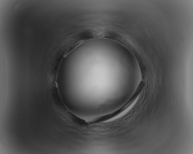 X0000089460601200706291502