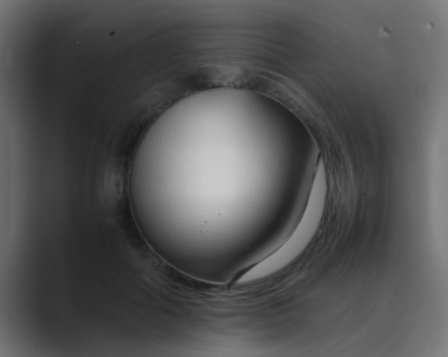 X0000089460602200706291502