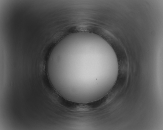 X0000089460603200706291502
