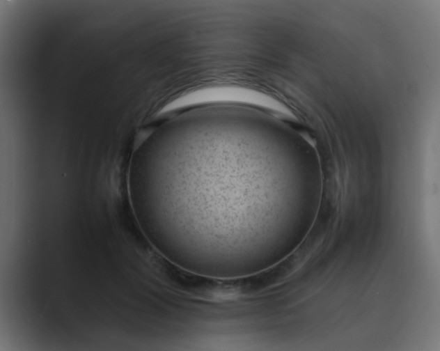 X0000089460604200706291502