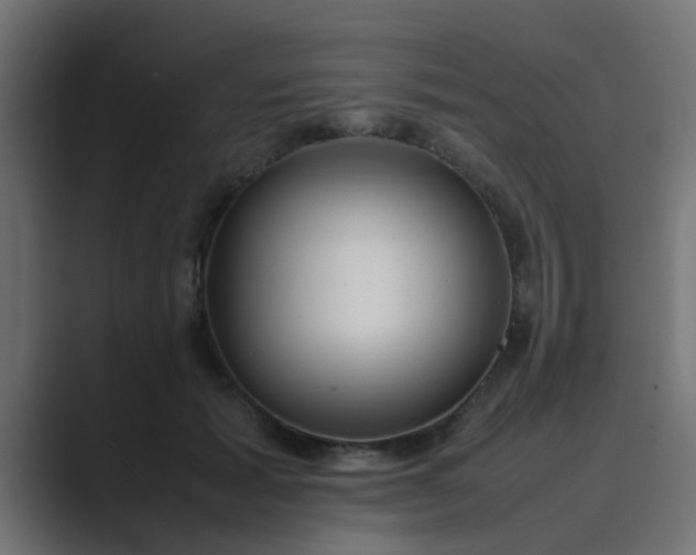 X0000089460605200706291502