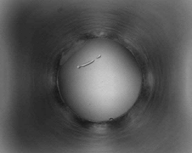 X0000089460606200706291502