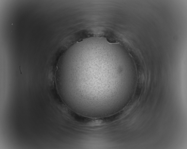 X0000089460609200706291502