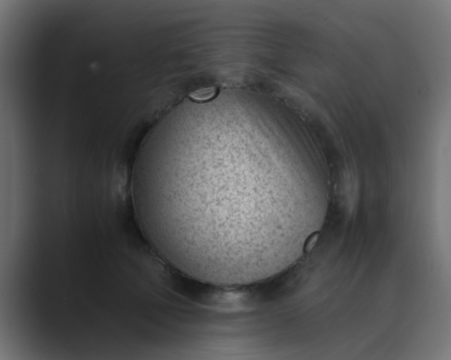 X0000089460610200706291502