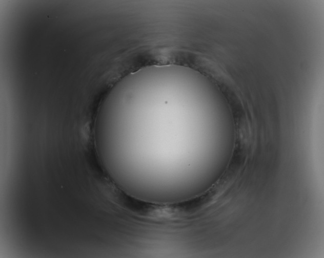 X0000089460611200706291502