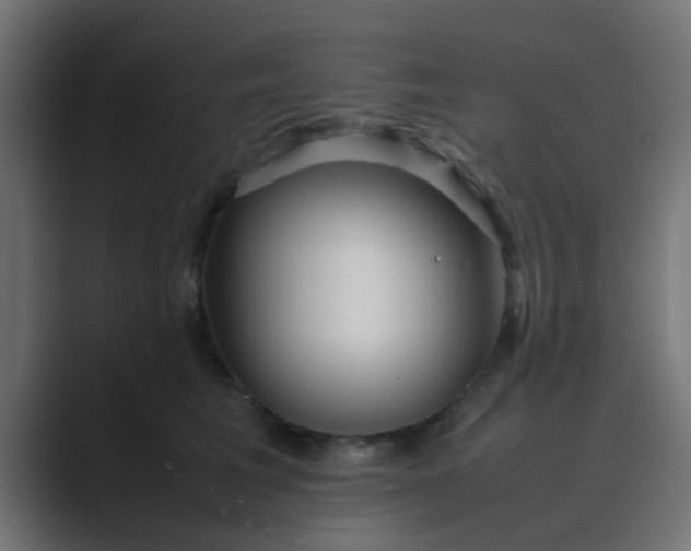 X0000089460613200706291502