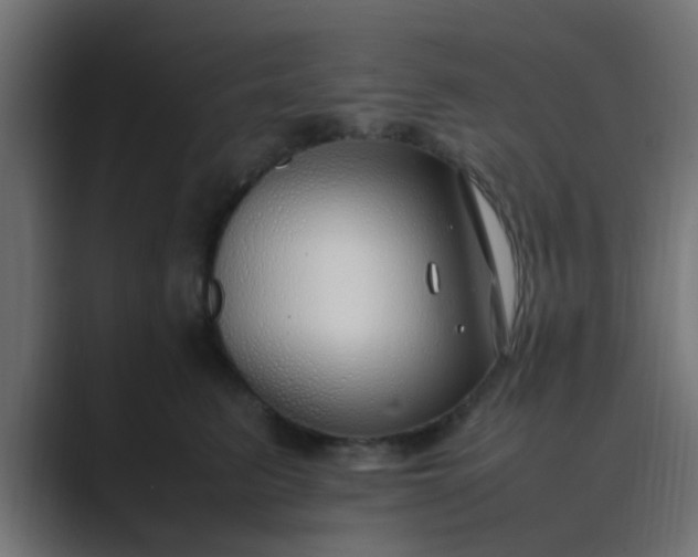 X0000089460615200706291502