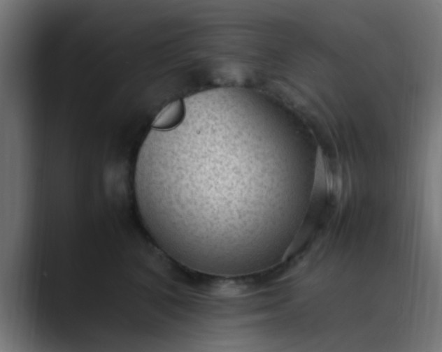 X0000089460616200706291502