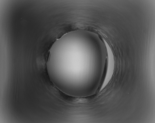 X0000089460617200706291502