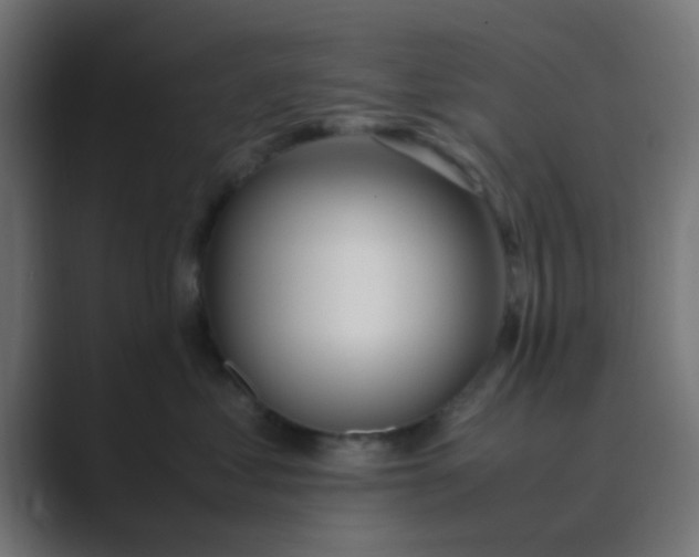 X0000089460621200706291502