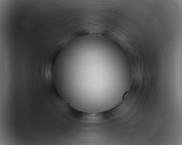 X0000089460622200706291502
