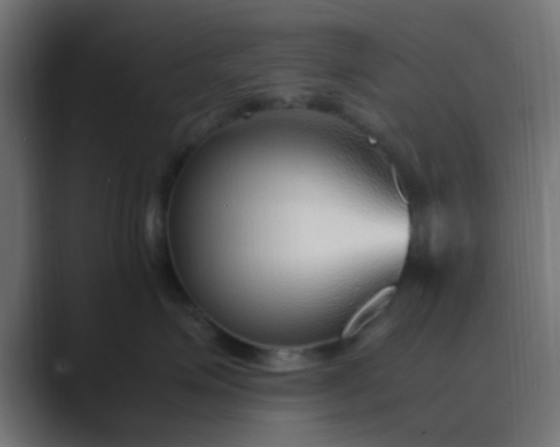 X0000089460623200706291502