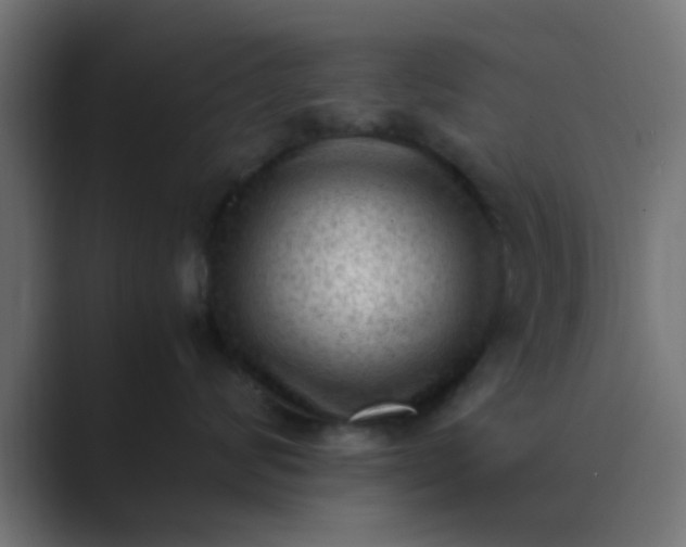 X0000089460624200706291502