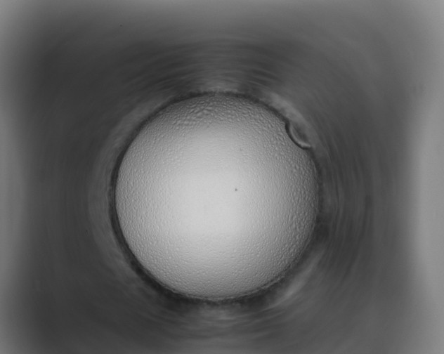 X0000089460625200706291502