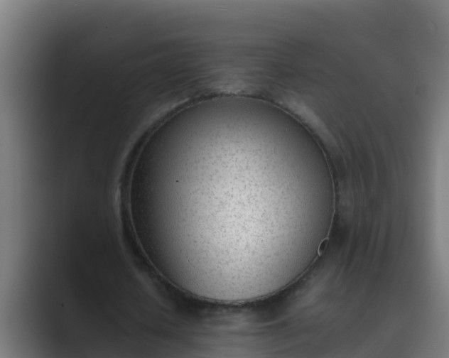 X0000089460626200706291502