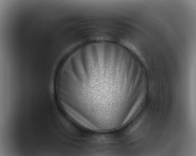 X0000089460629200706291502