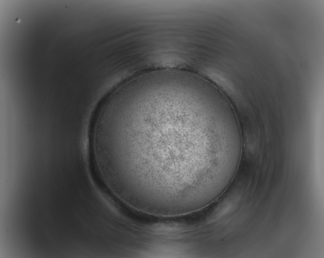 X0000089460630200706291502