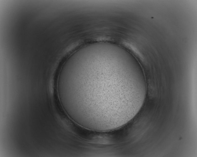 X0000089460631200706291502