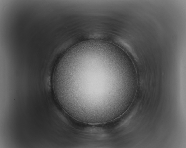 X0000089460633200706291502