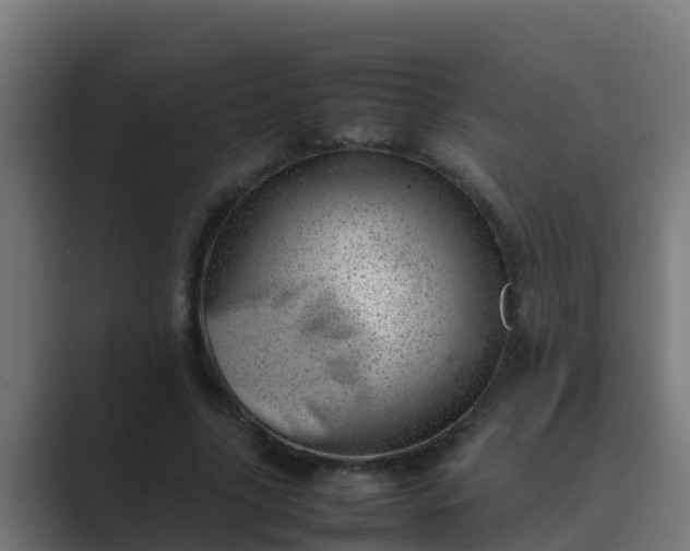 X0000089460635200706291502
