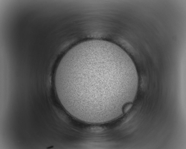 X0000089460636200706291502