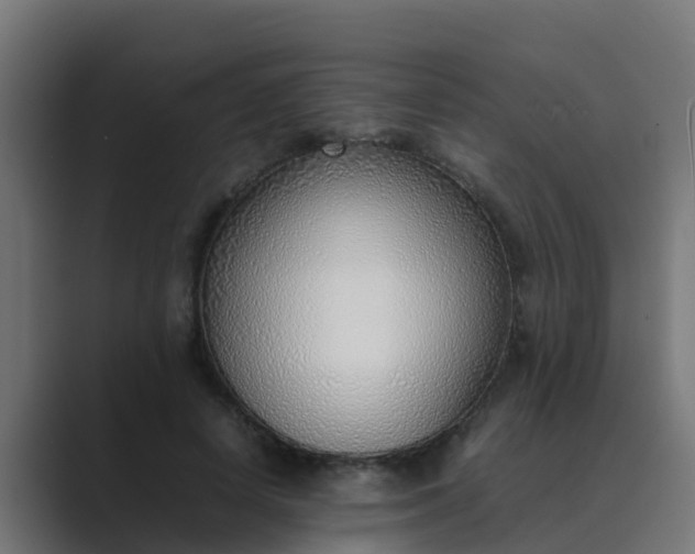X0000089460642200706291502