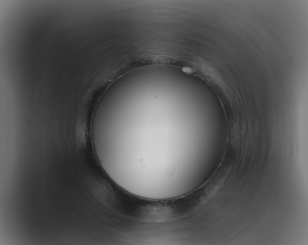 X0000089460644200706291502
